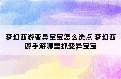 梦幻西游变异宝宝怎么洗点 梦幻西游手游哪里抓变异宝宝